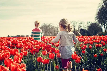 Zwei Kinder laufen durch rotes Tulpenfeld