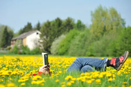 Parkanlage in Hannover.